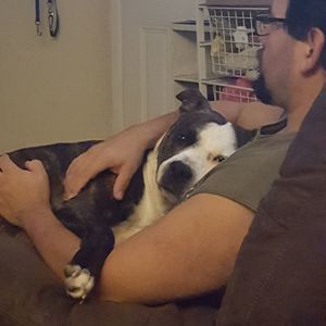 Meet your Posher, Joseph